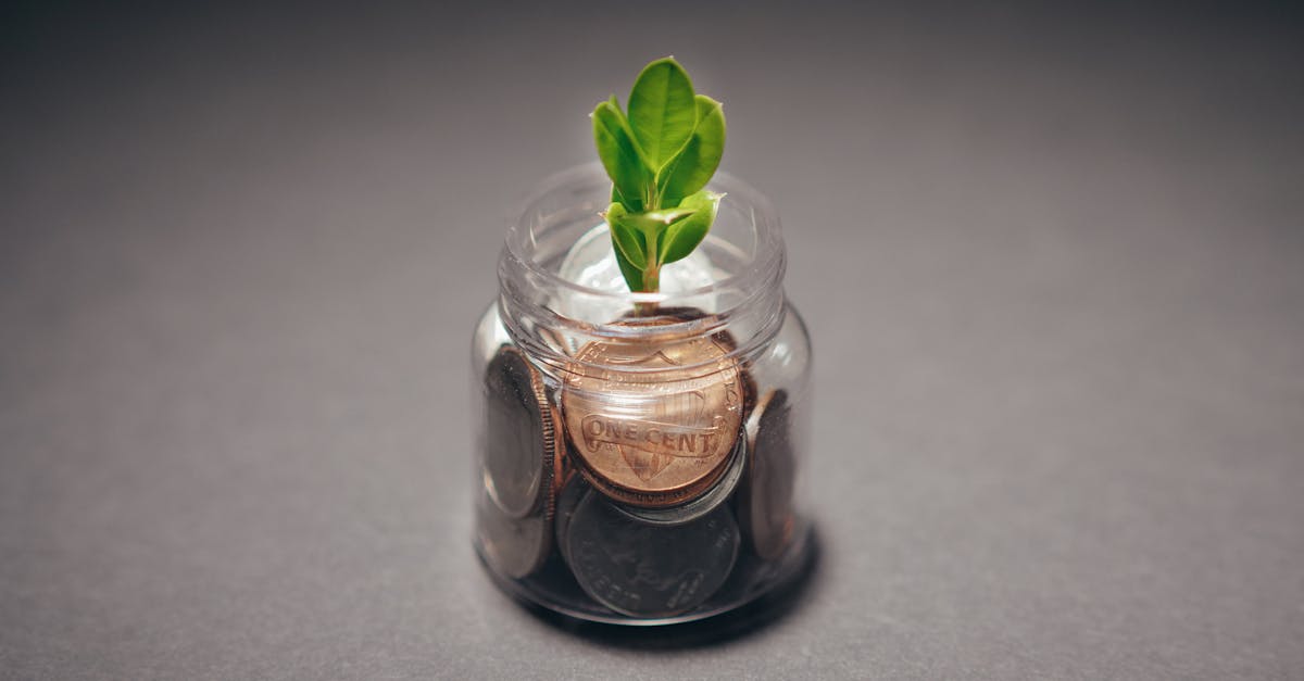découvrez des stratégies de durabilité innovantes pour les entreprises et les collectivités. adoptez des pratiques écologiques, réduisez votre empreinte carbone et engagez-vous vers un avenir plus durable grâce à des méthodes éprouvées et des conseils d'experts.
