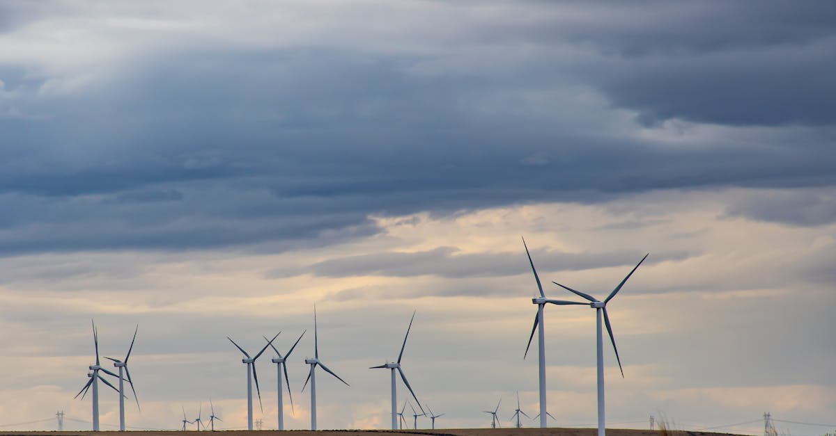 découvrez les dernières innovations en technologie durable qui transforment notre manière de vivre et de travailler. explorez des solutions écologiques et économes en ressources pour un avenir plus vert.