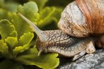 découvrez le mouvement de la slow fashion, une approche durable et éthique de la mode qui privilégie la qualité, le respect de l'environnement et la valorisation des savoir-faire artisanaux. optez pour des pièces intemporelles et faites le choix d'une consommation responsable.