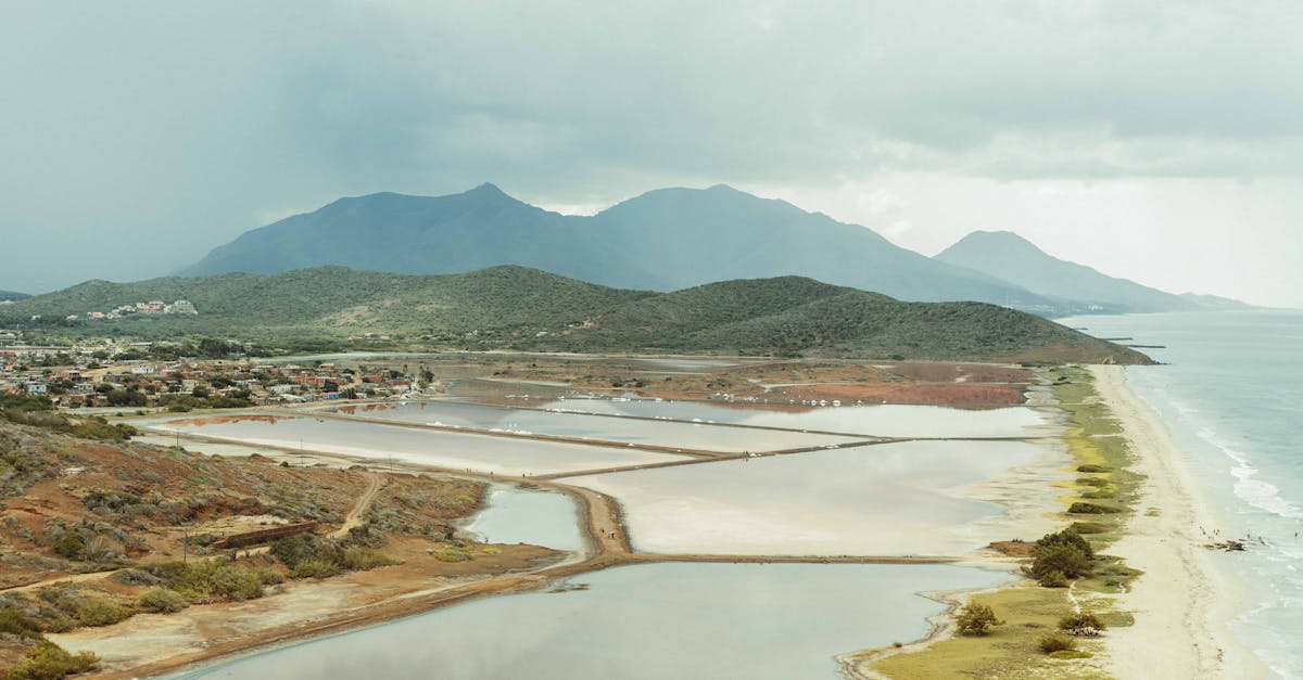 découvrez les fondements du droit environnemental, une discipline qui régule la protection de l'environnement et favorise un développement durable. explorez les lois, les règlements et les enjeux actuels liés à la conservation des ressources naturelles et à la lutte contre la pollution.