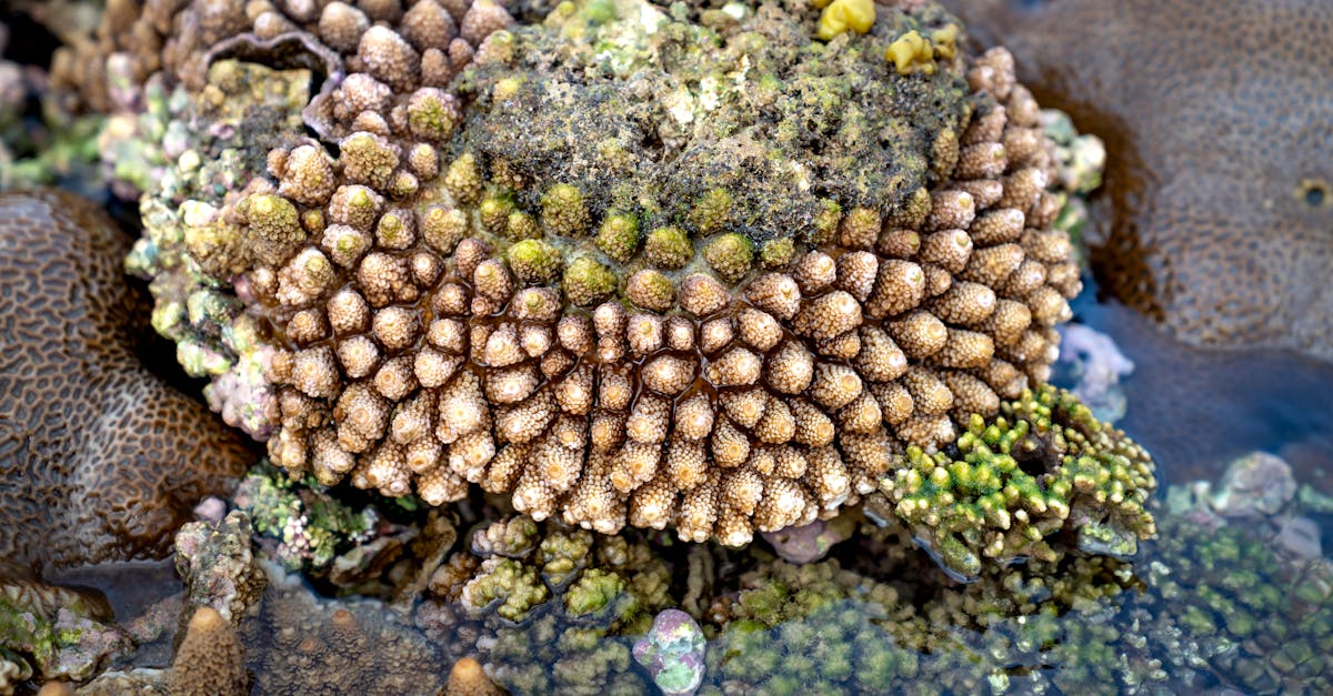 Habitats naturels : comprendre les écosystèmes qui nous entourent