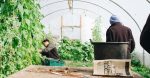 découvrez l'agriculture durable, une approche innovante qui allie respect de l'environnement, efficacité économique et responsabilité sociale. explorez les pratiques qui préservent nos ressources naturelles tout en répondant aux besoins alimentaires croissants.
