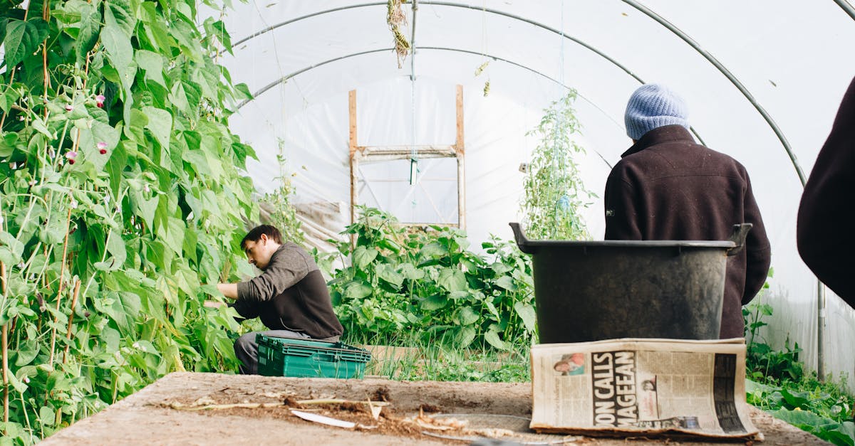 Production agricole durable : les clés pour une agriculture responsable et respectueuse de l’environnement