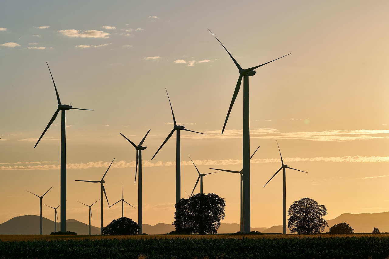 découvrez des solutions durables pour un avenir respectueux de l'environnement. explorez des pratiques écologiques et des produits responsables qui soutiennent la durabilité et protègent notre planète.