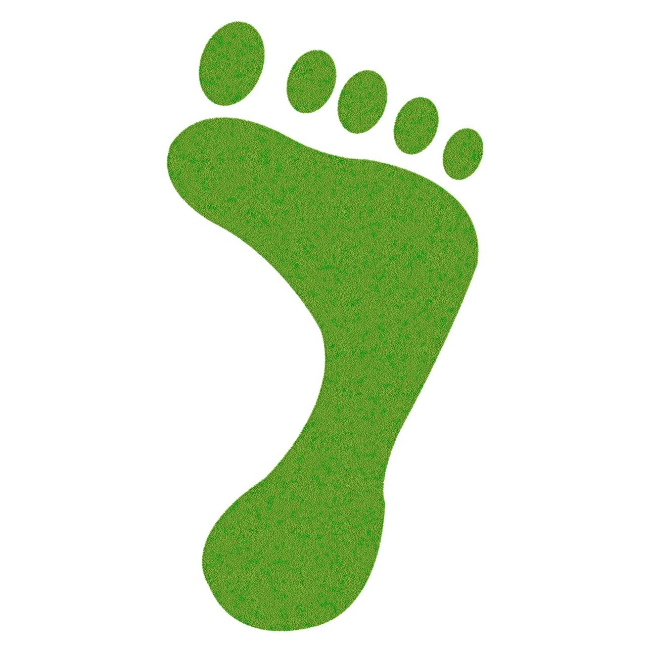 découvrez ce qu'est l'empreinte carbone, son impact sur l'environnement et comment réduire votre contribution à ces émissions de gaz à effet de serre. apprenez des conseils pratiques pour adopter un mode de vie éco-responsable.