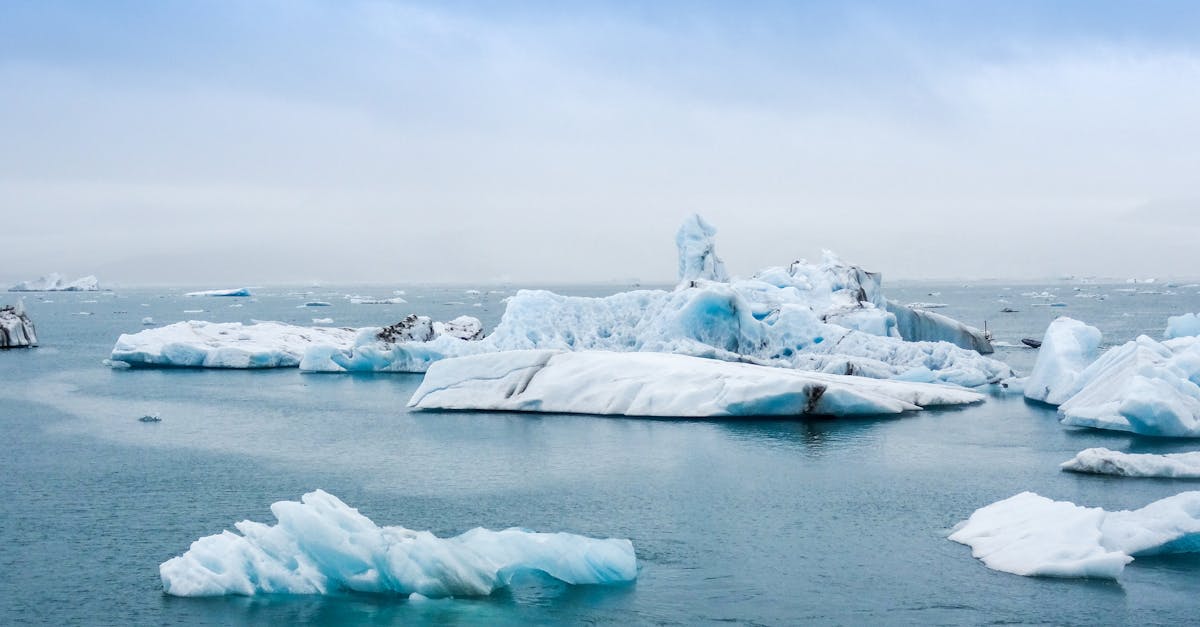 découvrez les enjeux du changement climatique, ses impacts sur notre planète et les actions essentielles à mettre en œuvre pour protéger notre environnement et garantir un avenir durable.