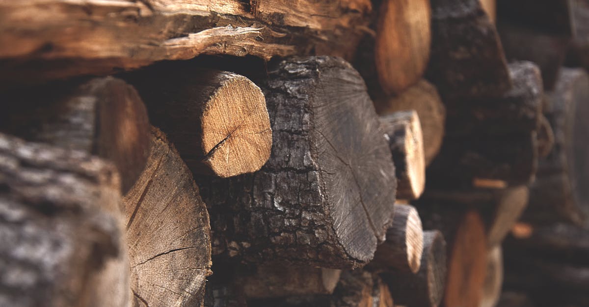 découvrez les enjeux critiques de la déforestation, ses impacts sur l'environnement, la biodiversité et le climat, ainsi que les initiatives pour préserver nos forêts et favoriser un développement durable.
