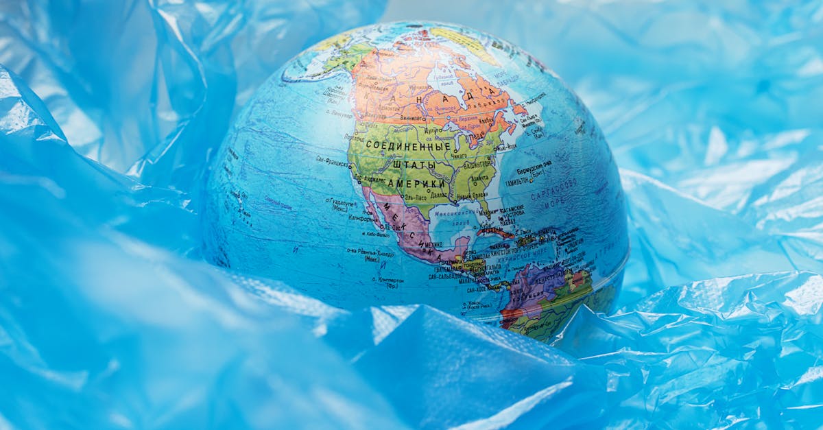 découvrez comment la responsabilité environnementale peut transformer nos comportements quotidiens et promouvoir un avenir durable. explorez des pratiques écoresponsables et engagez-vous pour protéger notre planète.