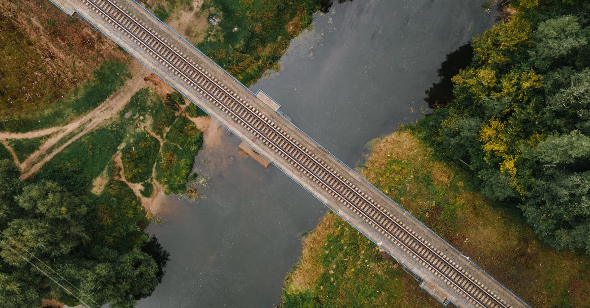 découvrez notre formation environnementale qui vous permet d'approfondir vos connaissances sur les enjeux écologiques, d'apprendre des méthodes durables et de devenir un acteur du changement pour un avenir plus vert.