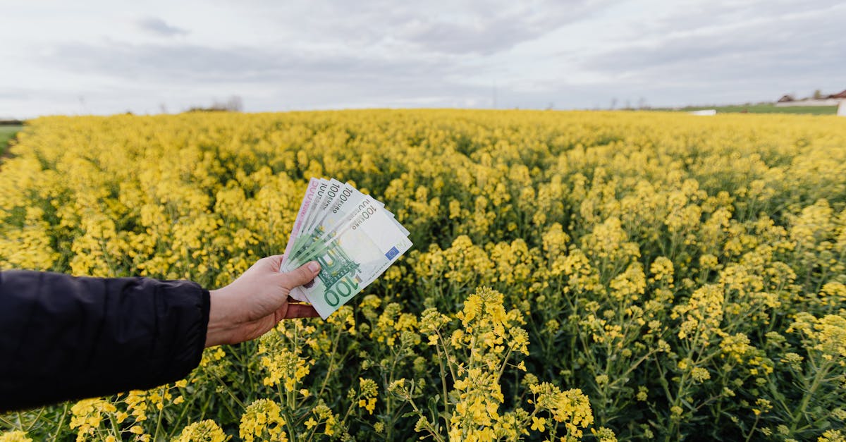 découvrez les enjeux de la finance durable, qui allie performance économique et responsabilité environnementale. explorez des solutions novatrices pour investir de manière éthique tout en contribuant à un avenir durable.
