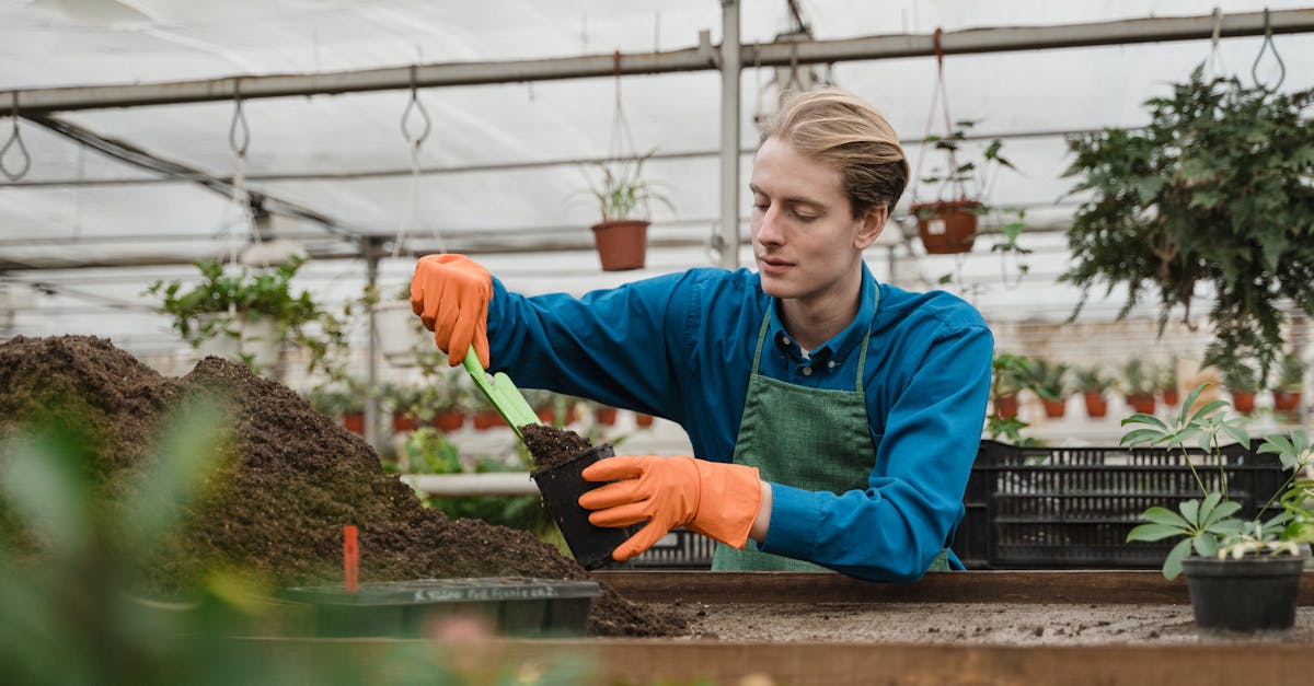 découvrez les principes du jardinage durable et apprenez à cultiver votre jardin de manière écologique et responsable. adoptez des pratiques respectueuses de l'environnement pour un espace vert florissant et durable.