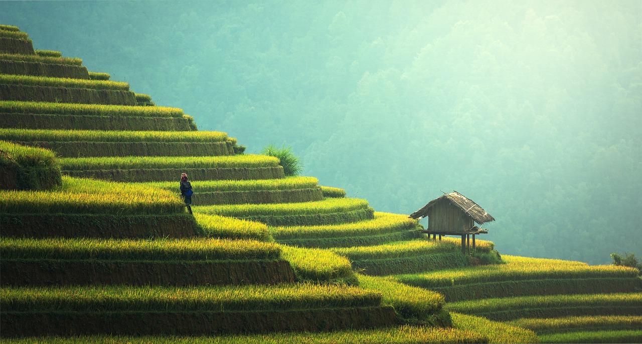 découvrez le tourisme durable : des voyages respectueux de l'environnement qui préservent les cultures locales et soutiennent les communautés. explorez des destinations qui allient plaisir et responsabilité.