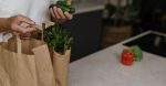 découvrez les principes d'un régime durable qui allie santé, respect de l'environnement et éthique alimentaire. apprenez à choisir des aliments qui nourrissent votre corps tout en préservant notre planète!