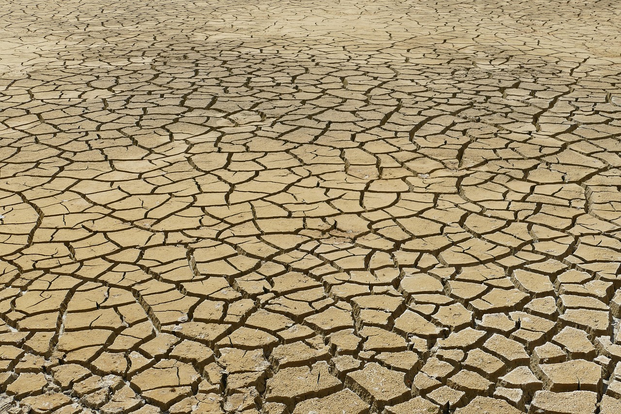 découvrez l'impact du changement climatique sur notre planète. explorez les causes, les conséquences et les solutions pour préserver notre environnement face à cette crise mondiale.