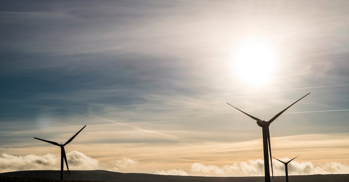 découvrez comment adopter un mode de vie durable avec des conseils pratiques sur l'écologie, l'économie d'énergie et la réduction des déchets. engagez-vous pour un avenir meilleur et respectueux de notre planète.