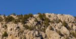découvrez comment les écosystèmes résilients jouent un rôle crucial dans la préservation de la biodiversité et la lutte contre le changement climatique. apprenez les stratégies pour renforcer la santé de notre planète et soutenir des environnements durables.