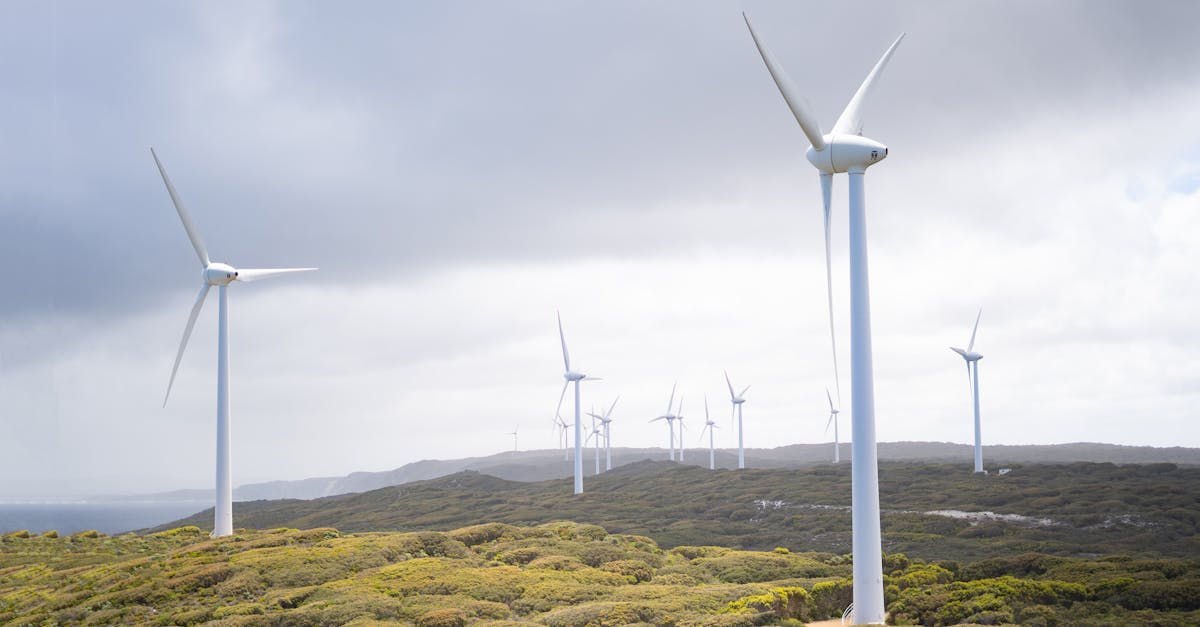 découvrez les enjeux et avantages des énergies renouvelables, une solution durable pour un avenir respectueux de l'environnement. explorez les différentes sources d'énergie telles que l'éolien, le solaire et l'hydroélectrique, et apprenez comment elles contribuent à la transition énergétique mondiale.