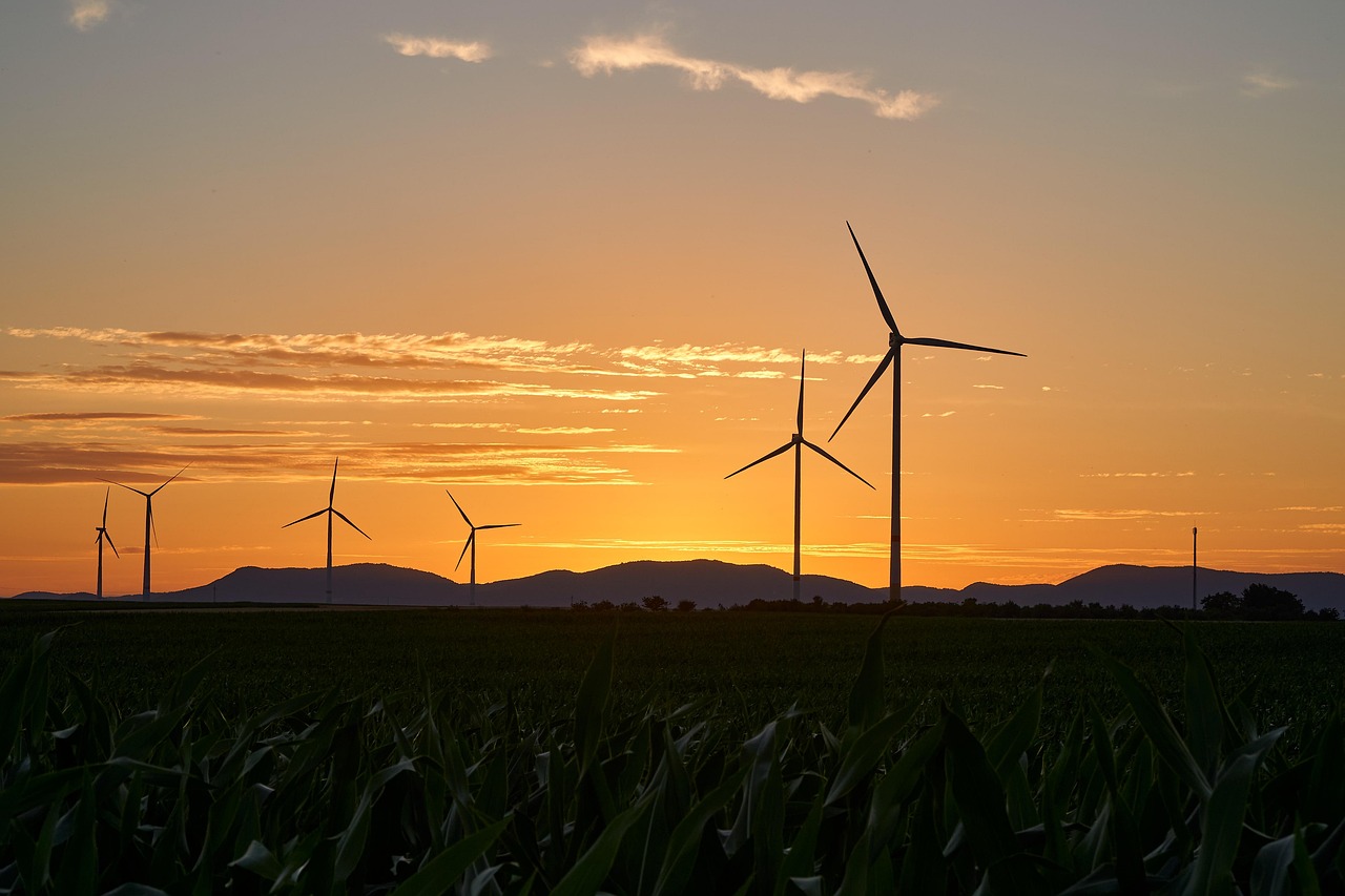 découvrez notre initiative durable, un engagement envers un avenir éco-responsable. rejoignez-nous pour promouvoir des pratiques durables et préserver notre planète pour les générations futures.