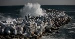 découvrez nos actions et initiatives pour la protection du climat. engagez-vous pour un avenir durable en apprenant comment réduire votre empreinte carbone et soutenir les énergies renouvelables.