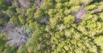 découvrez les services écosystémiques, ces ressources naturelles essentielles qui soutiennent la vie sur terre. apprenez comment ces services contribuent à la biodiversité, à l'approvisionnement en nourriture, à la purification de l'eau et à la régulation du climat, et comprenez l'importance de préserver notre environnement pour les générations futures.