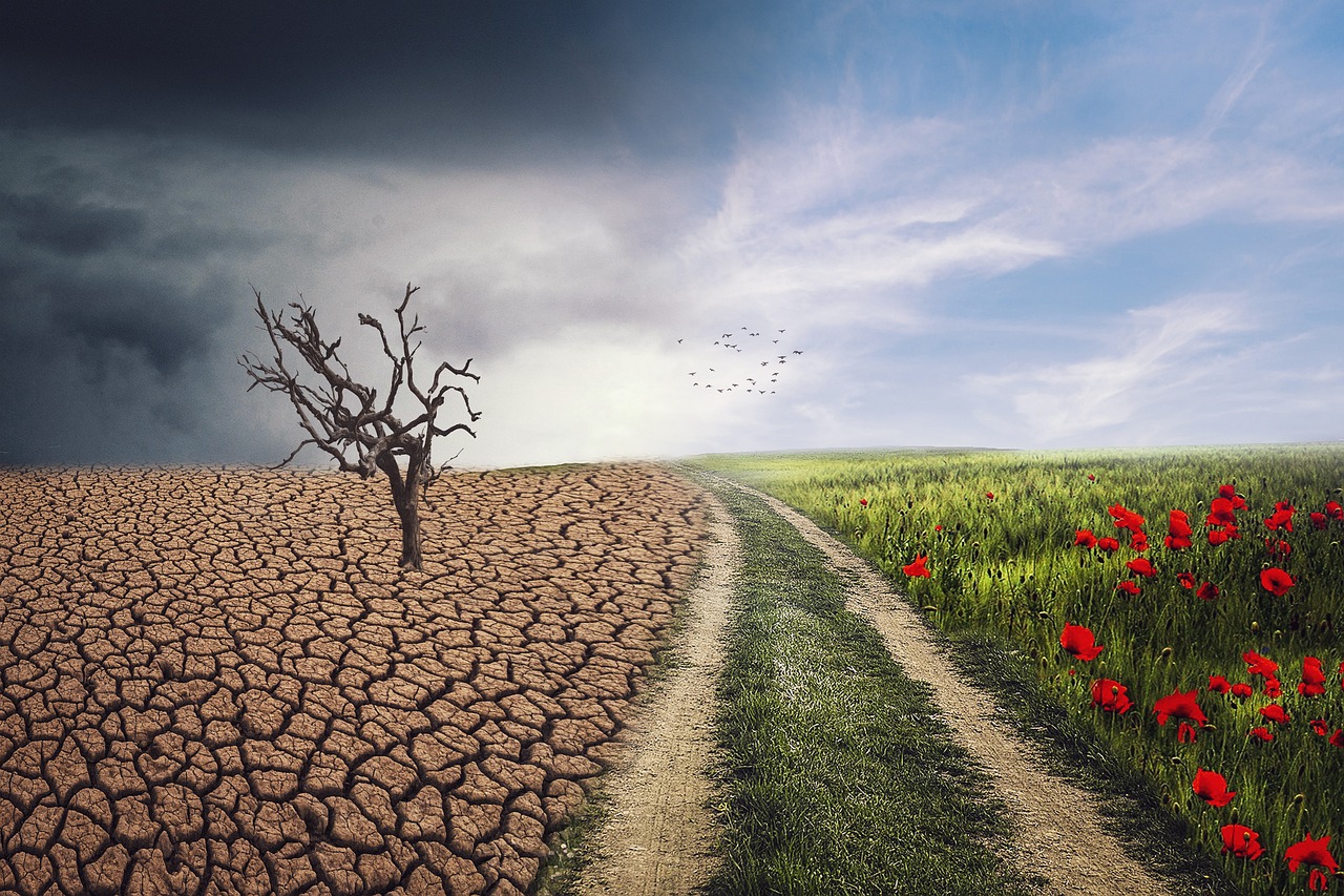 découvrez comment le changement climatique impacte notre planète, les causes et les conséquences de ce phénomène mondial, ainsi que les actions à entreprendre pour préserver notre environnement.