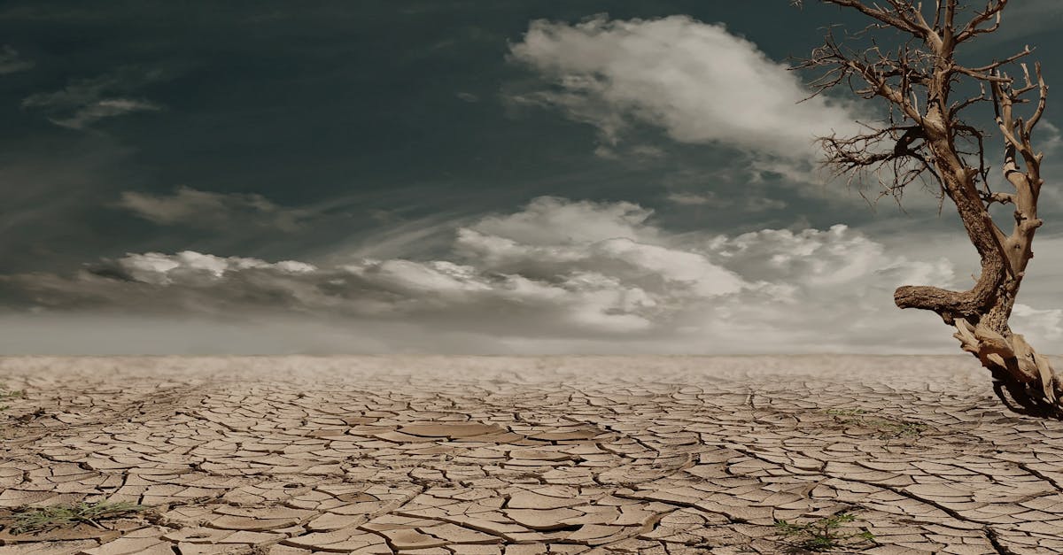 découvrez les impacts du changement climatique sur notre planète et les actions nécessaires pour préserver notre environnement. informez-vous sur les enjeux environnementaux et les solutions durables.