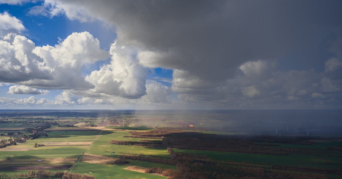découvrez l'impact du climat sur notre planète, ses conséquences sur l'environnement et les actions à entreprendre pour un avenir durable. informez-vous sur les défis et solutions face au changement climatique.
