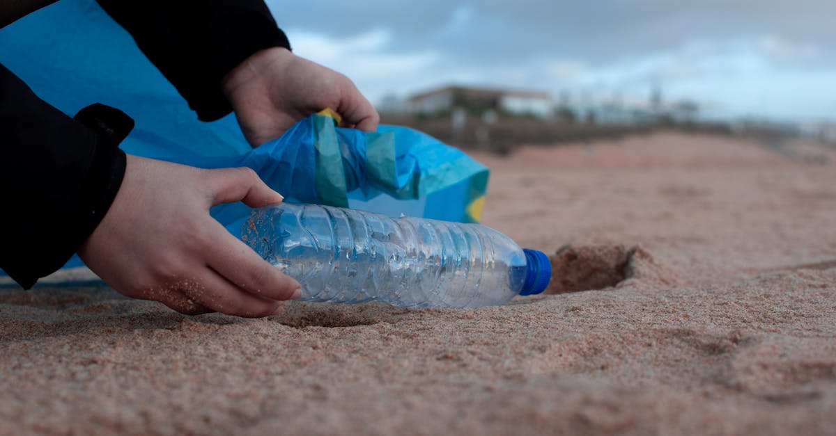 découvrez des stratégies efficaces pour la prévention de la pollution. apprenez comment réduire votre empreinte écologique et contribuer à un environnement plus sain grâce à des actions simples et des initiatives durables.
