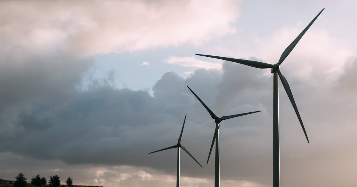 découvrez les dernières tendances et innovations en matière d'énergie renouvelable. explorez les avantages des énergies solaires, éoliennes et hydrauliques pour un avenir durable et respectueux de l'environnement.