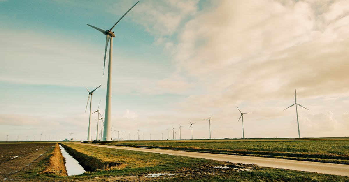 découvrez les avantages des énergies renouvelables, leur impact positif sur l'environnement et comment elles transforment notre avenir énergétique. engagez-vous pour un monde durable en explorant les différentes sources d'énergie verte.