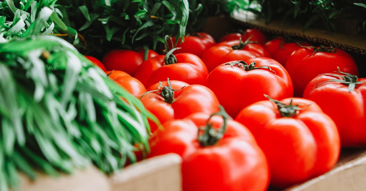 découvrez comment adopter une alimentation durable qui respecte l'environnement tout en préservant votre santé. explorez des recettes équilibrées, des conseils pratiques et des astuces pour réduire votre empreinte carbone grâce à une alimentation écoresponsable.