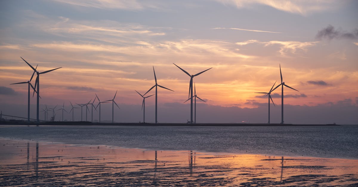 découvrez l'énergie durable : des solutions respectueuses de l'environnement qui allient efficacité et innovation pour un avenir plus vert. informez-vous sur les différentes sources d'énergie renouvelable et leur impact positif sur notre planète.
