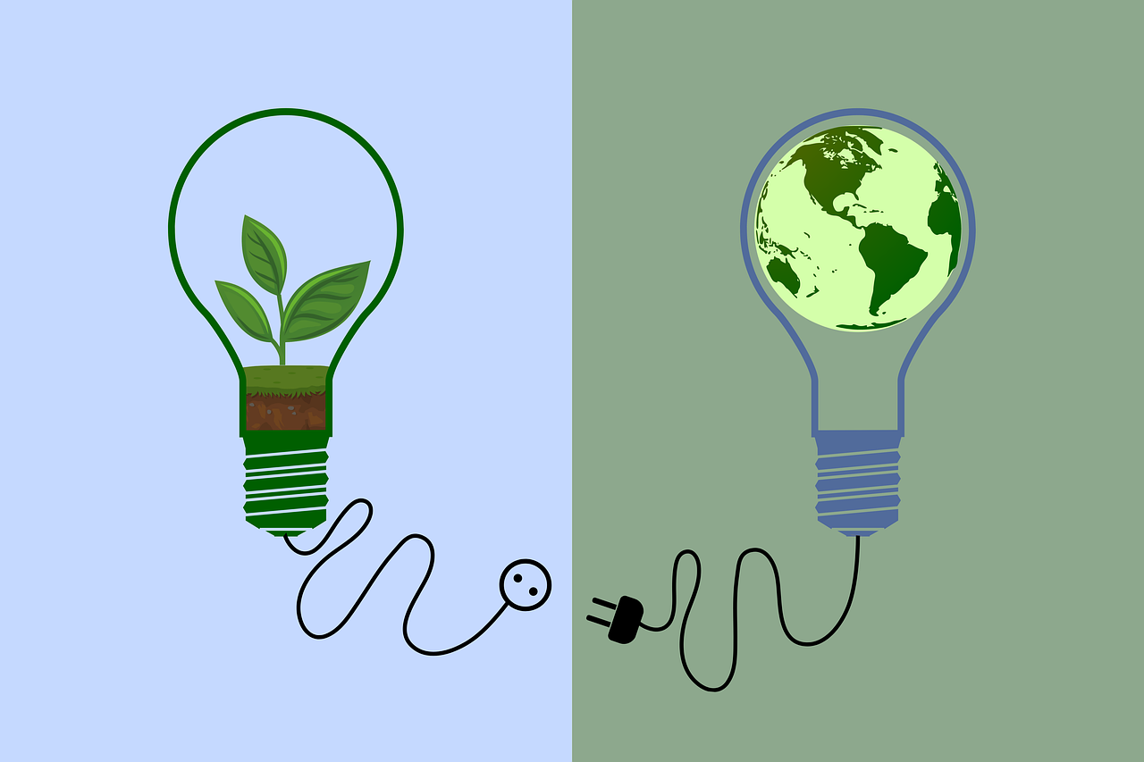 découvrez des pratiques durables qui favorisent la préservation de l'environnement tout en améliorant votre quotidien. adoptez des habitudes écologiques pour un avenir meilleur.