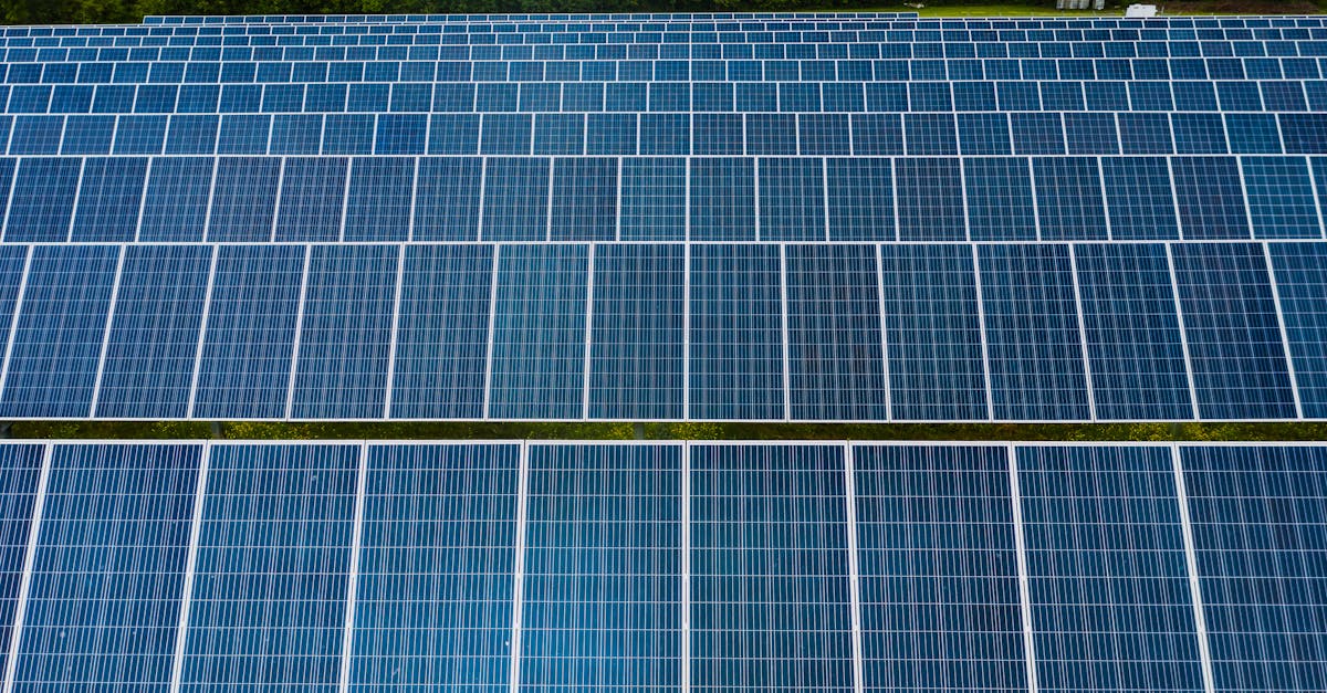 découvrez les meilleures pratiques pour le développement de produits durables, alliant innovation et respect de l'environnement. apprenez comment intégrer des principes durables dans vos processus de conception pour créer des solutions qui répondent aux besoins d'aujourd'hui tout en préservant la planète pour demain.