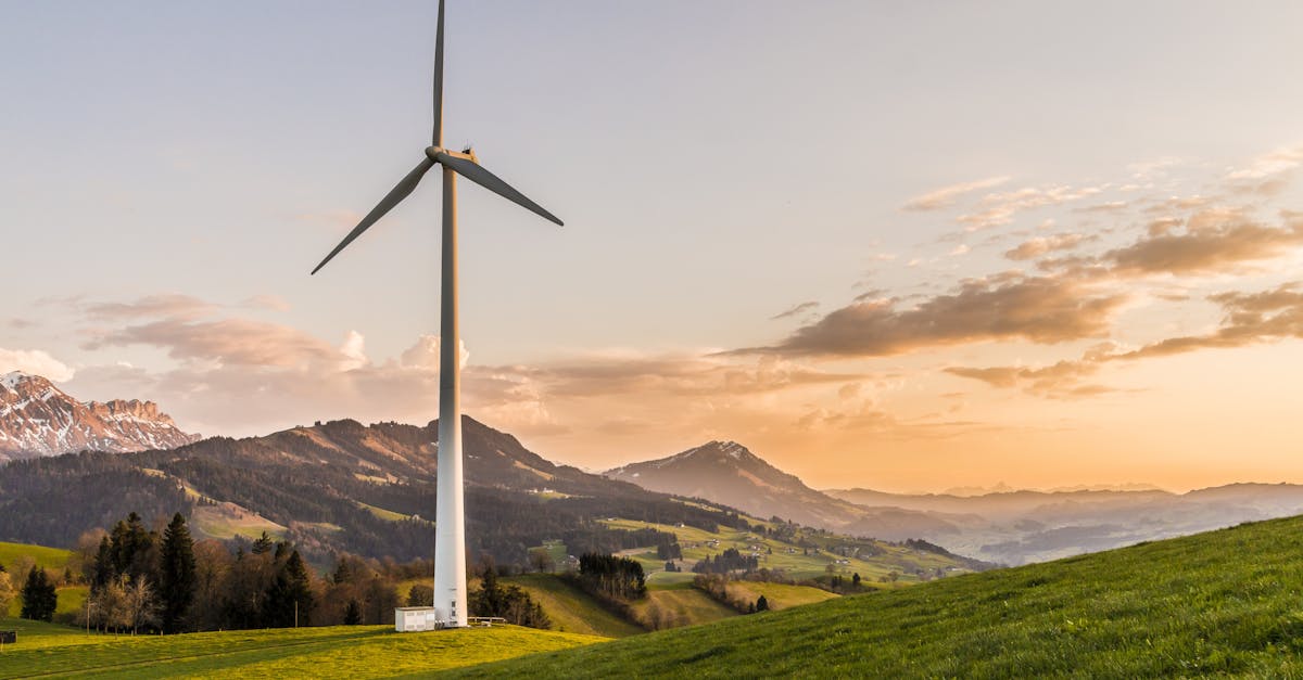 découvrez l'univers du développement durable et des pratiques éco-responsables. apprenez comment intégrer la durabilité dans votre quotidien pour préserver notre planète tout en améliorant votre qualité de vie.