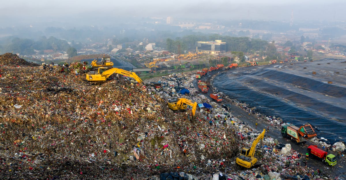 Bilan écologique : mesurer l’impact environnemental de nos actions quotidiennes