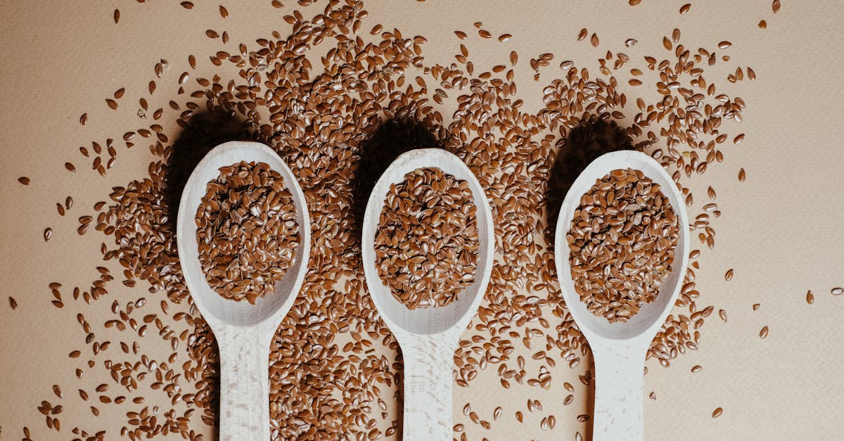 découvrez les principales cultures vivrières, leur importance pour l’alimentation mondiale et les enjeux liés à leur production. informations sur le riz, le blé, le maïs et d’autres aliments essentiels.
