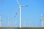 découvrez comment la transition durable favorise une économie respectueuse de l'environnement et des ressources naturelles. explorez des stratégies écoresponsables pour un avenir plus vert et durable.