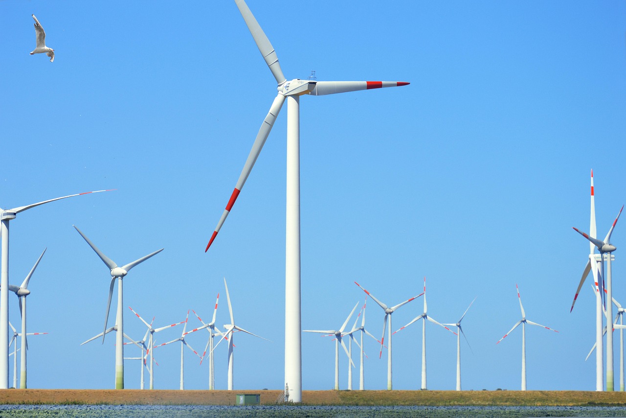 découvrez comment la transition durable favorise une économie respectueuse de l'environnement et des ressources naturelles. explorez des stratégies écoresponsables pour un avenir plus vert et durable.