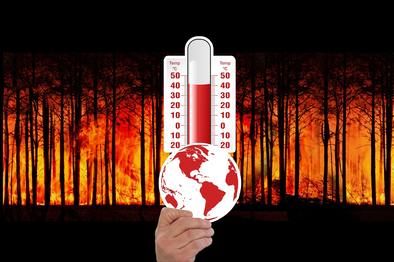découvrez les causes et impacts du changement climatique ainsi que les solutions pour limiter le réchauffement de la planète. informez-vous sur les enjeux environnementaux et les actions à adopter.