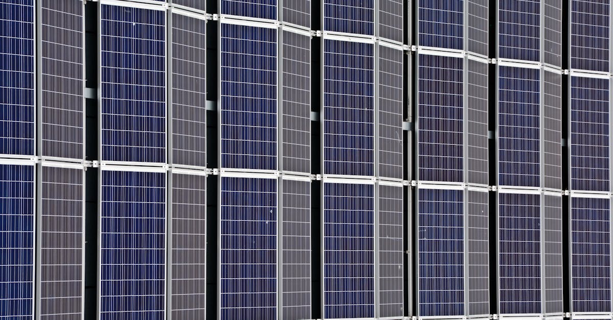 découvrez comment adopter des pratiques durables au quotidien pour protéger l'environnement, économiser les ressources naturelles et contribuer à un avenir plus responsable grâce à la durabilité.