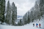 découvrez comment le ski durable allie passion des sports d'hiver et respect de l'environnement : conseils, stations écoresponsables et pratiques pour profiter de la montagne tout en la préservant.