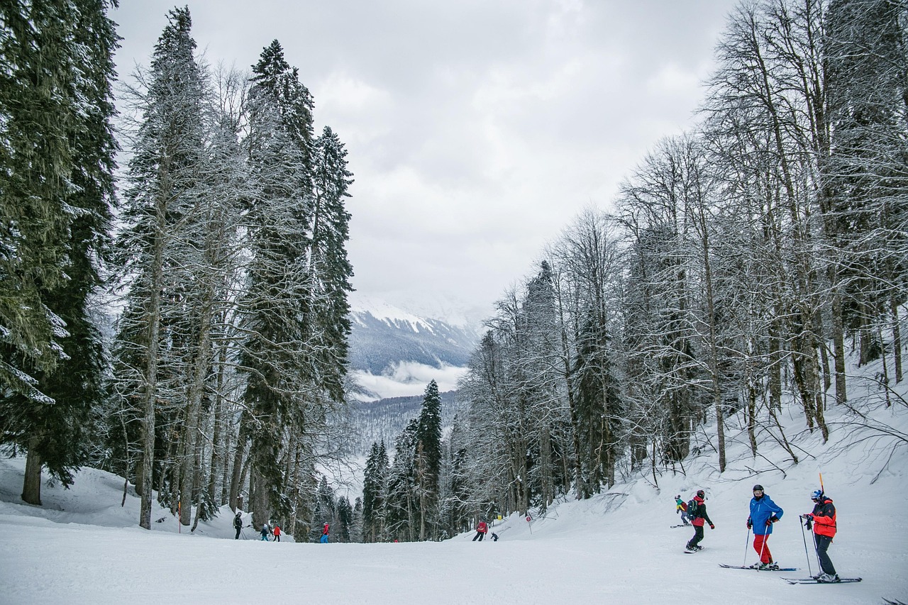 découvrez comment le ski durable allie passion des sports d'hiver et respect de l'environnement : conseils, stations écoresponsables et pratiques pour profiter de la montagne tout en la préservant.