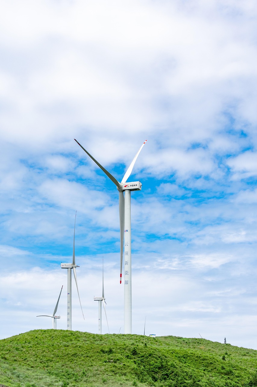 découvrez les principes du développement durable, ses enjeux et solutions pour un avenir respectueux de l’environnement, de l’économie et des sociétés humaines.