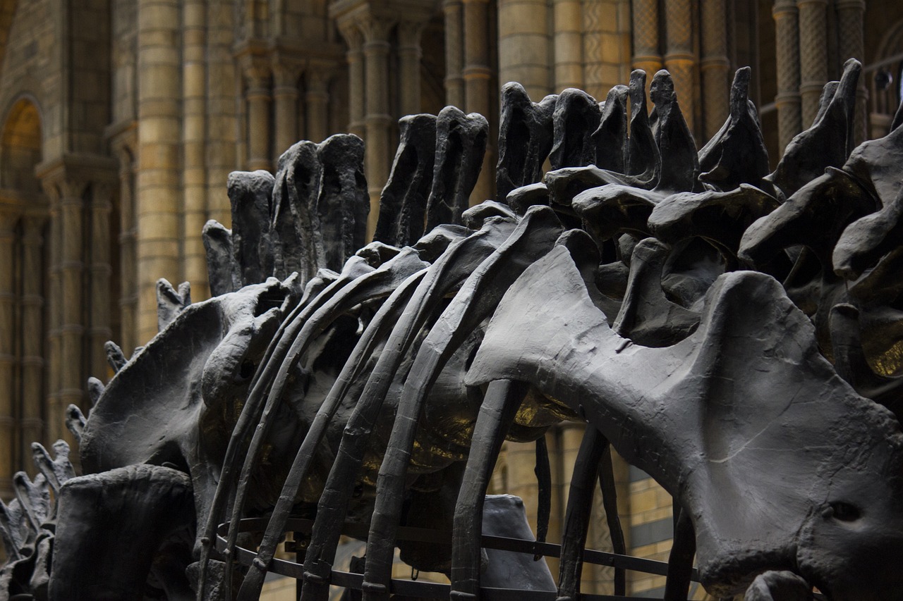 découvrez les meilleurs musées, leurs expositions incontournables et les collections à ne pas manquer pour vivre une expérience culturelle unique.