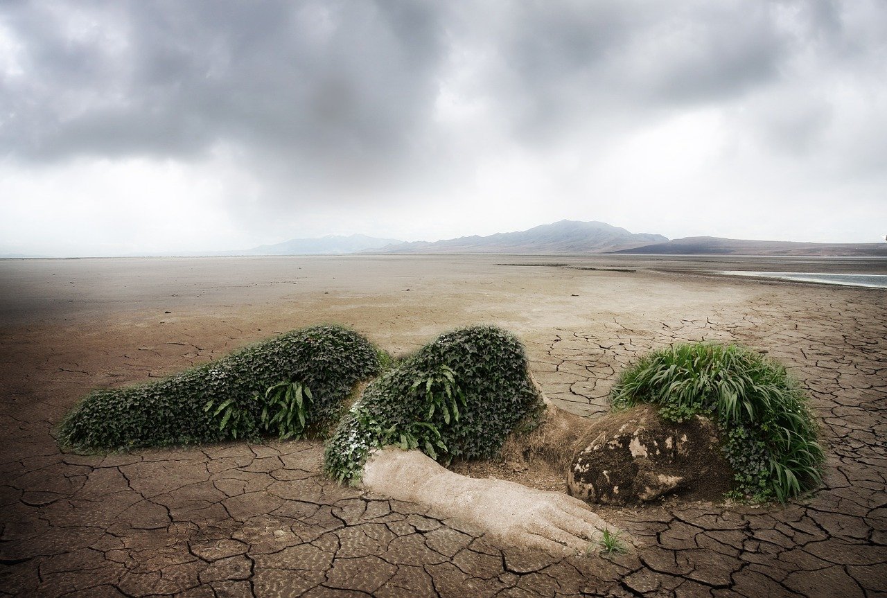 découvrez comment adopter une démarche éco-responsable pour préserver l’environnement, réduire votre empreinte écologique et contribuer à un avenir durable grâce à des gestes simples et des choix responsables au quotidien.