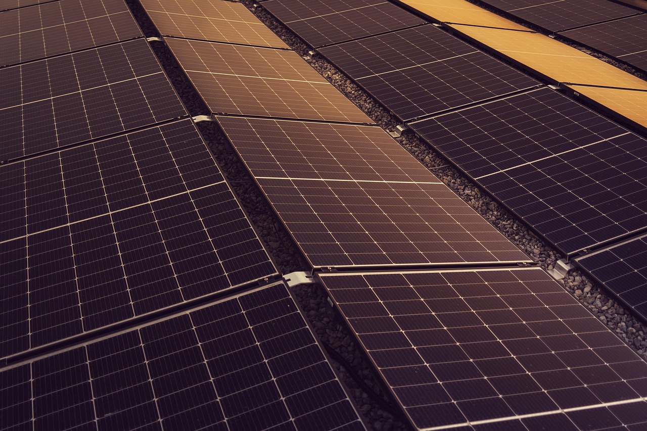 découvrez comment adopter des pratiques durables pour protéger l’environnement, favoriser l’économie circulaire et améliorer votre impact social au quotidien. conseils, actualités et ressources sur la durabilité.