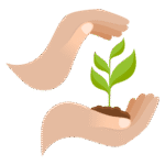 découvrez comment adopter une croissance durable grâce à des stratégies responsables et respectueuses de l'environnement, pour assurer le succès de votre entreprise à long terme.