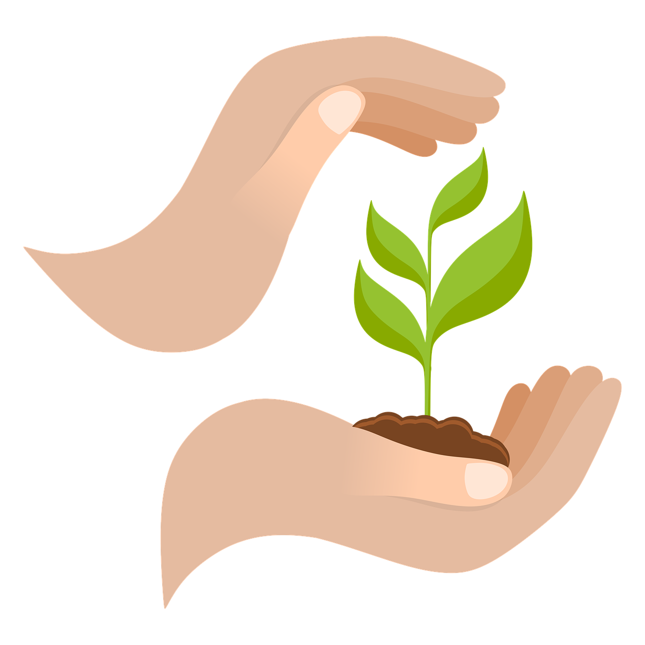 découvrez comment adopter une croissance durable grâce à des stratégies responsables et respectueuses de l'environnement, pour assurer le succès de votre entreprise à long terme.