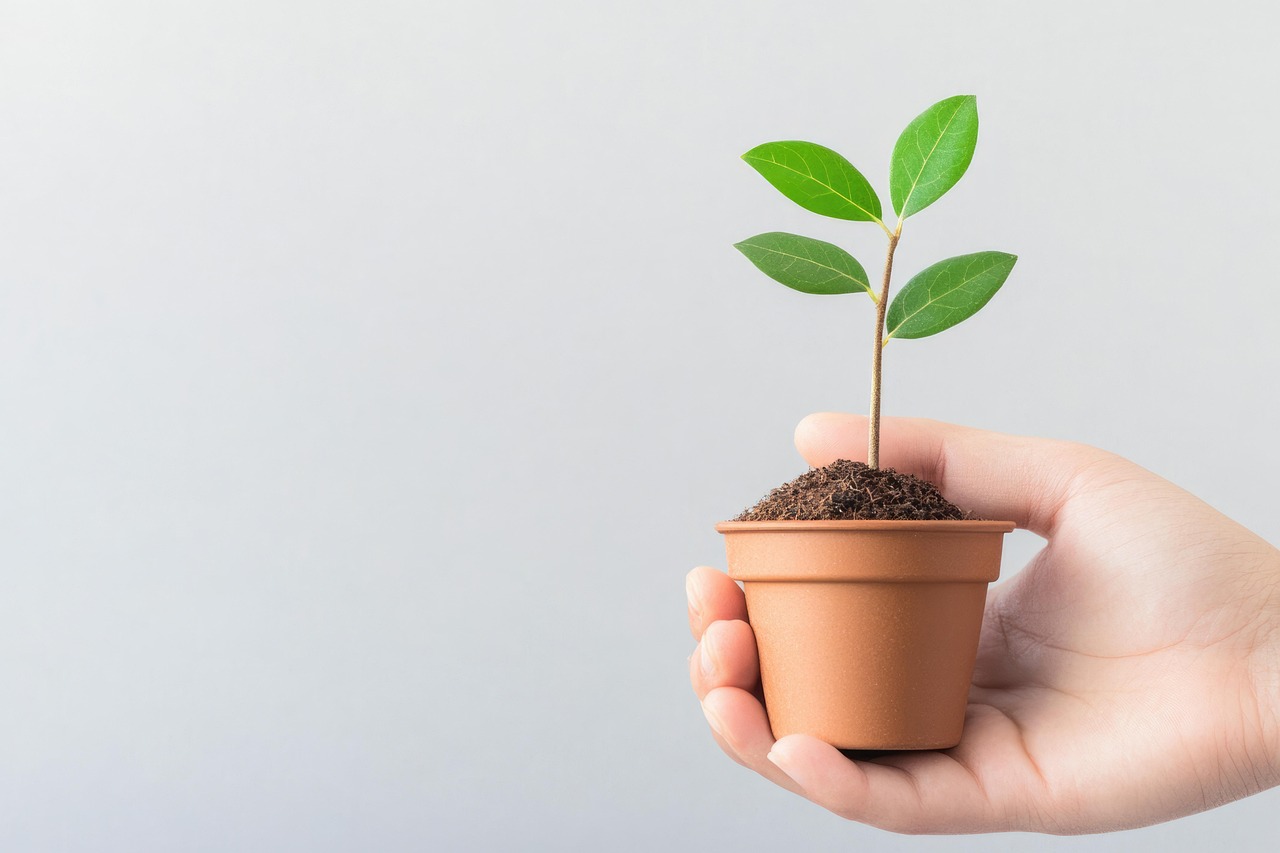 découvrez comment adopter une croissance durable pour assurer la prospérité de votre entreprise tout en respectant l’environnement et en favorisant le développement responsable.